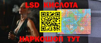 spice Гай