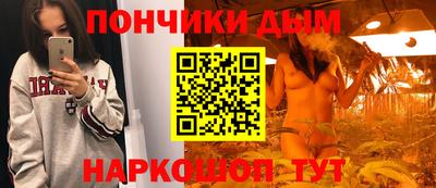 apvp Гатчина