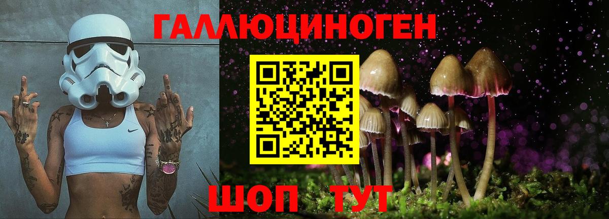 Галлюциногенные грибы Psilocybine cubensis Мелеуз